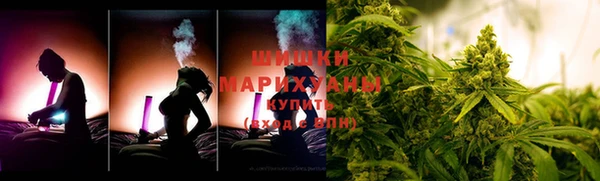 шишки Алзамай
