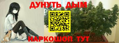 PSILOCYBIN Бузулук