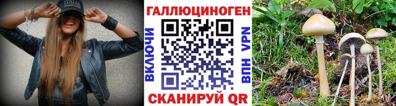 МЕГА вход  купить закладку  Барнаул  Псилоцибиновые грибы мицелий 