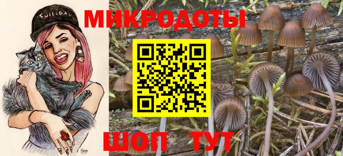 Галлюциногенные грибы Psilocybe  Вход с VPN  Псилоцибиновые грибы GOLDEN TEACHER  Барнаул 